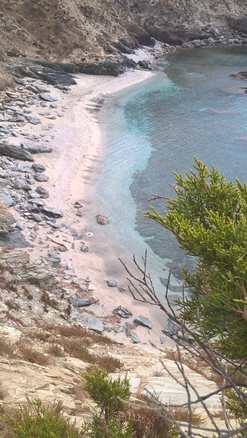 B&B Nonno Stacca Stintino Dış mekan fotoğraf